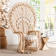 Pemberly Row Contemporary Rattan Peacock Chair with Fan Back and Cushion