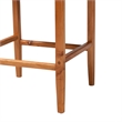 Pemberly Row Contemporary Rattan and Wood 2-Piece Counter Stool Set