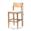 Pemberly Row Contemporary Rattan and Wood 2-Piece Bar Stool Set