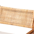 Pemberly Row Rattan and Mahogany 2-Piece Dining Armchair Set