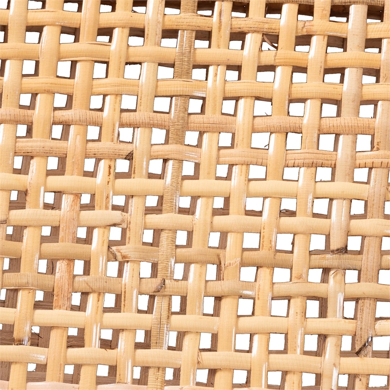 Pemberly Row Rattan and Mahogany 2-Piece Dining Armchair Set