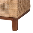 Pemberly Row Contemporary Rattan Tuxedo Sofa with Upholstered Cushions