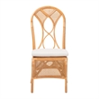 Pemberly Row Contemporary Rattan Dining Chair with Openwork Skirt Base