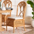 Pemberly Row Contemporary Rattan Dining Chair with Openwork Skirt Base