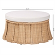 Pemberly Row Contemporary Round Rattan Ottoman with Removable Cushion