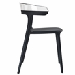 Pemberly Row Resin Patio Dining Chair in Black and Clear (Set of 2)