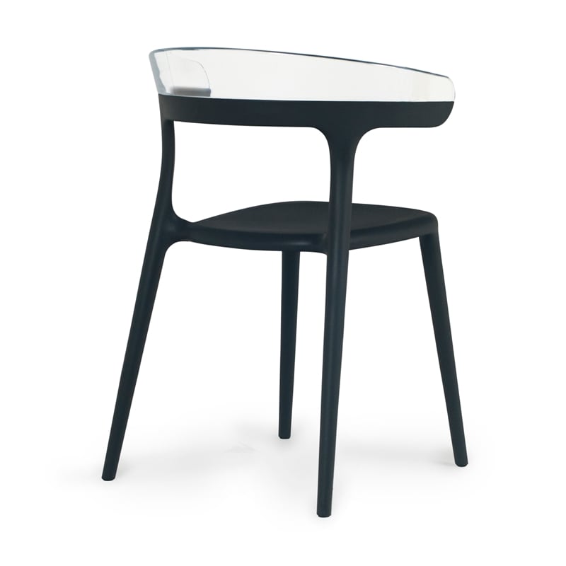 Pemberly Row Resin Patio Dining Chair in Black and Clear (Set of 2)