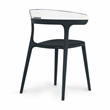 Pemberly Row Resin Patio Dining Chair in Black and Clear (Set of 2)