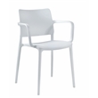 Pemberly Row Arm Resin Patio Dining Chair in White (Set of 2)
