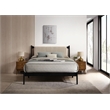 Pemberly Row Wooden Queen Size Platform Bed with Channeled Headboard in Black