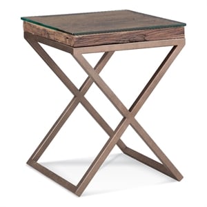 Pemberly Row Modern Reclaimed Wood and Metal End Table in Bronze