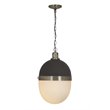 Pemberly Row Frosted Glass Acorn Pendant in Antique Brass and Black