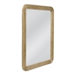 Pemberly Row Modern Gold Leaf Carved Wall Mirror in Antique Gold
