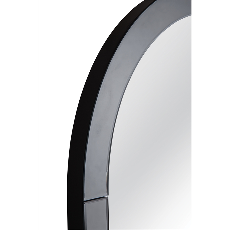 Pemberly Row Arched Floor Mirror in Smoked Mirrored Glass Frame