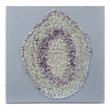 Pemberly Row Miniature Stone Amethyst Wall Art in Acrylic Frame