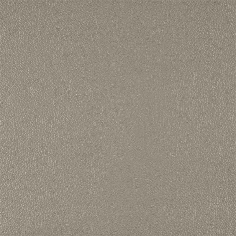 Pemberly Row 2-Piece Top Grain Leather Match Sofa Set with Wood Legs in Latte