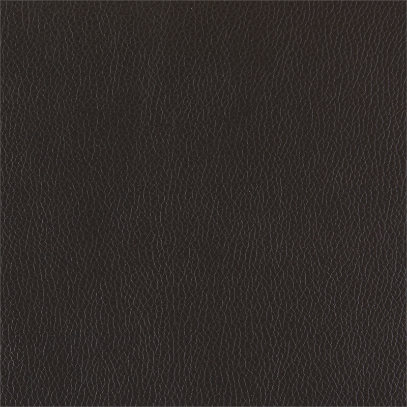 Pemberly Row Top Grain Leather 2-Piece Sofa Set with Nailhead Trim in Dark Brown