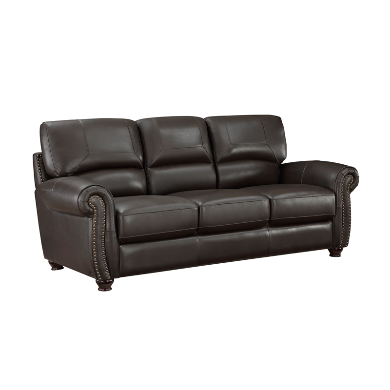 Pemberly Row Top Grain Leather 2-Piece Sofa Set with Nailhead Trim in Dark Brown
