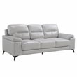 Pemberly Row Top Grain Leather Silver Gray 2-Piece Sofa Set with Pillow-Top Arms