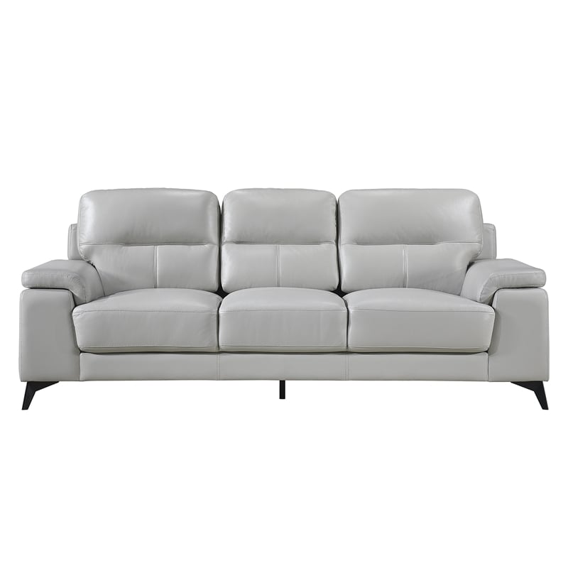 Pemberly Row Top Grain Leather Silver Gray 2-Piece Sofa Set with Pillow-Top Arms