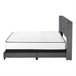 Pemberly Row Queen Wingback Bed with Chrome Nailhead in Dark Gray Velvet