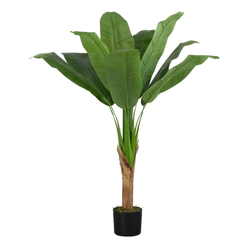 Pemberly Row 43