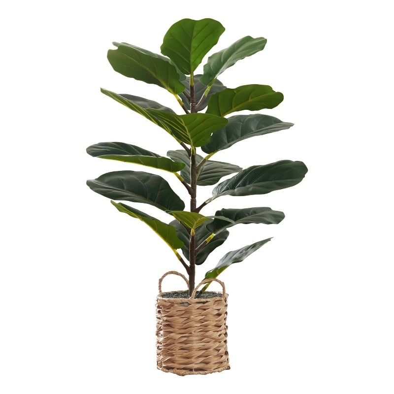 Pemberly Row 28