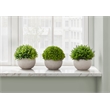 Pemberly Row Set of 3 5