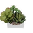 Pemberly Row Set of 2 7