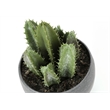 Pemberly Row Set of 3 6