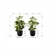 Pemberly Row Set of 2 14