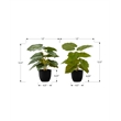 Pemberly Row Set of 2 13