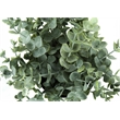 Pemberly Row Set of 2 11