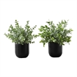 Pemberly Row Set of 2 11