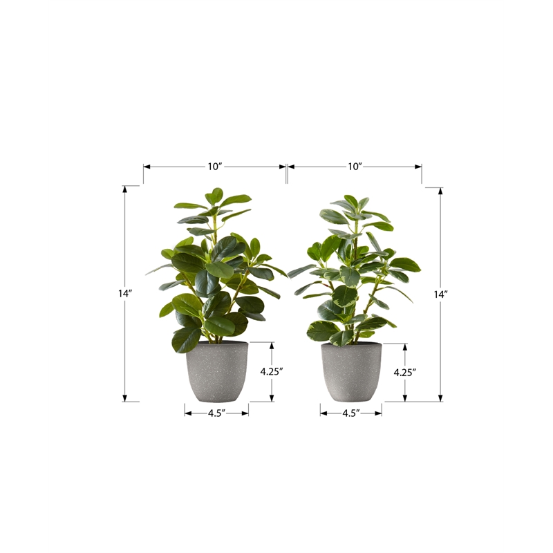 Pemberly Row Set of 2 14