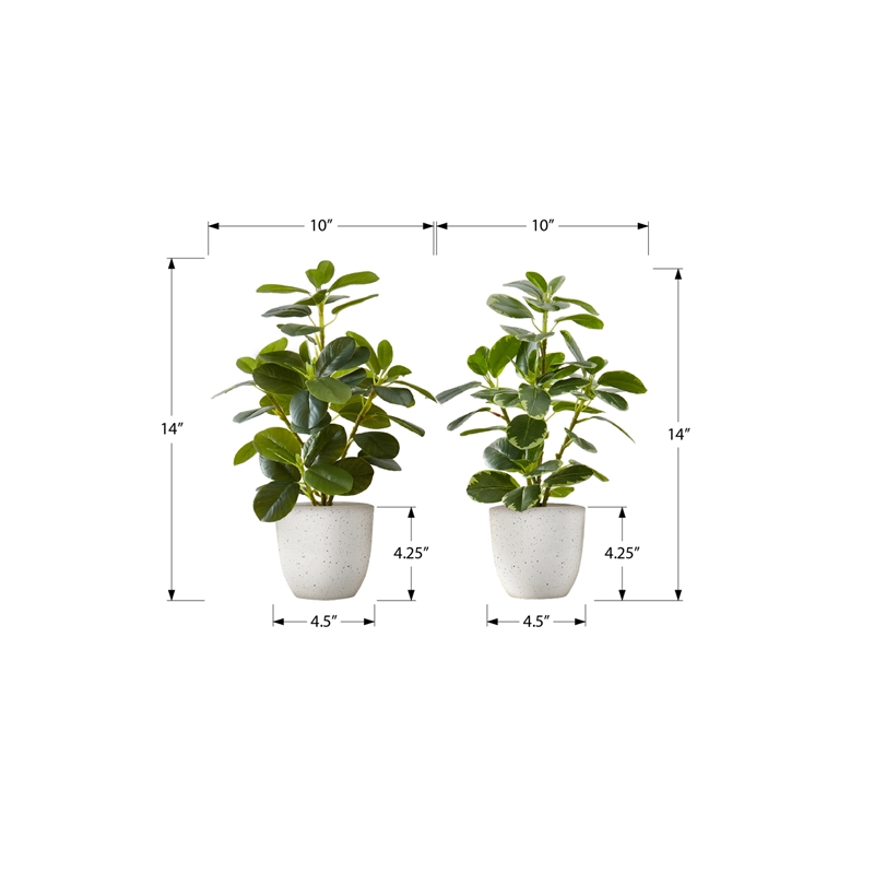 Pemberly Row Set of 2 14