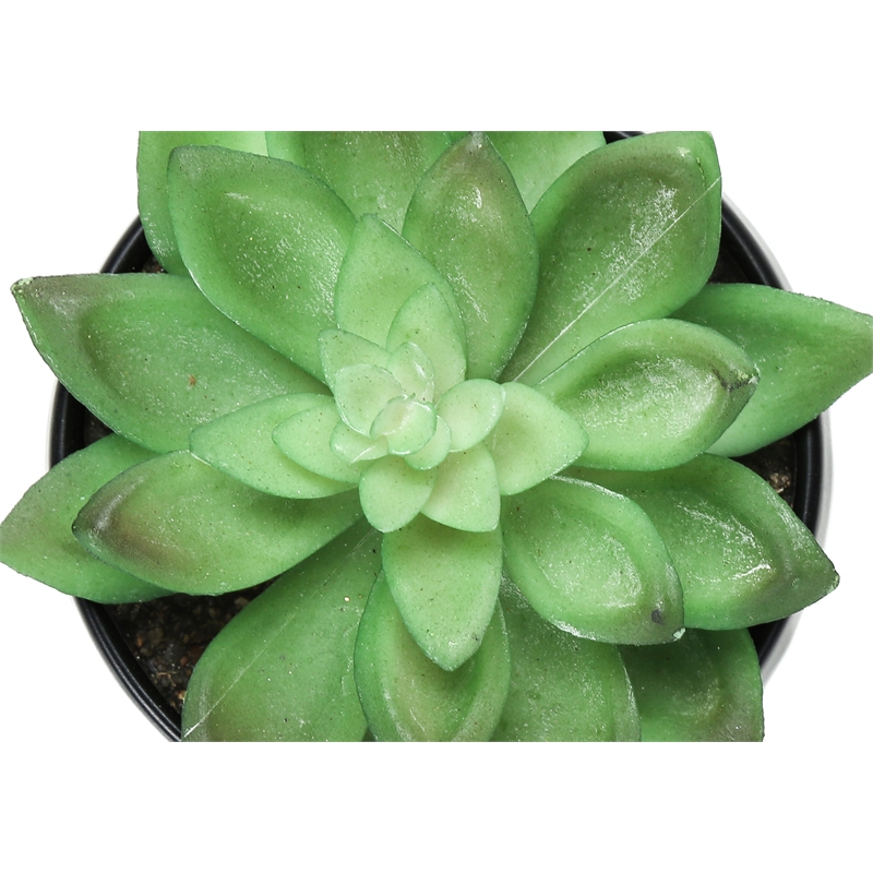 Pemberly Row Set of 3 6