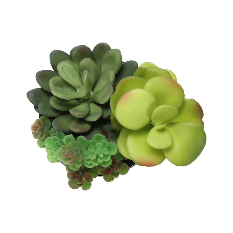 Pemberly Row Set of 2 7