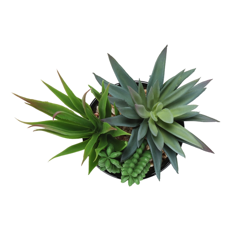 Pemberly Row Set of 2 7