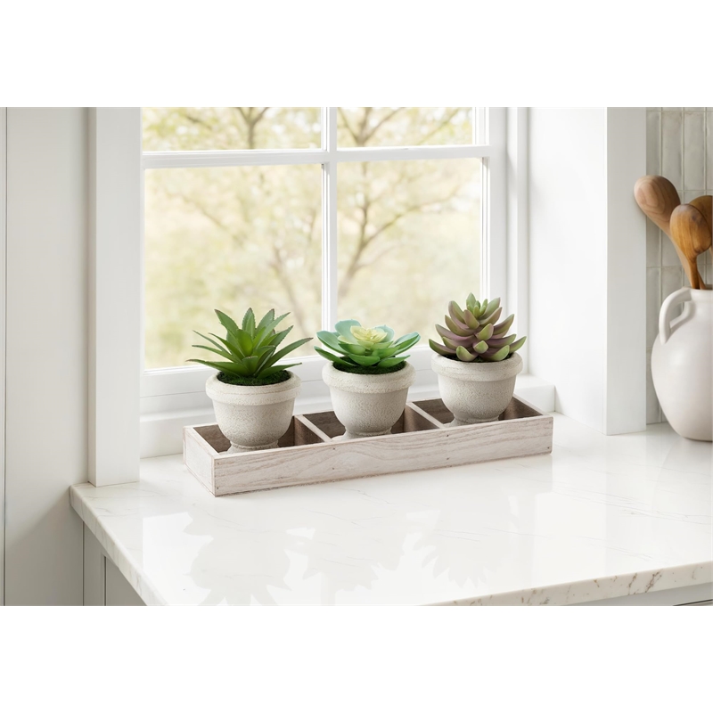 Pemberly Row Set of 3 Artificial Succulents in Beige Pots with Wood Tray
