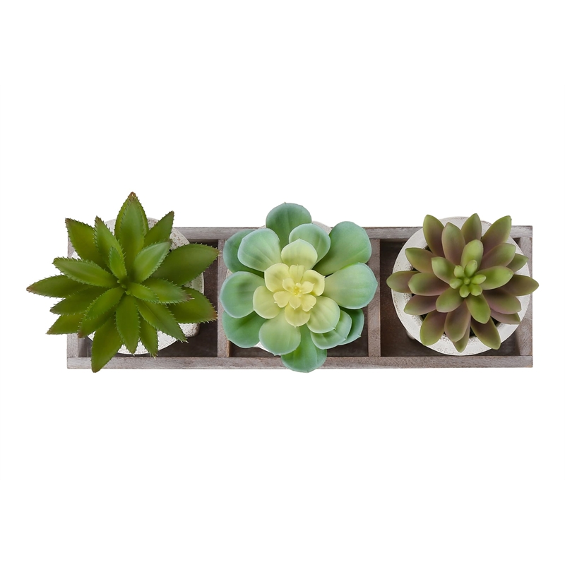Pemberly Row Set of 3 Artificial Succulents in Beige Pots with Wood Tray