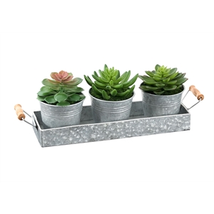 Pemberly Row Set of 3 Artificial Succulents in Silver Metal Pots with Tray