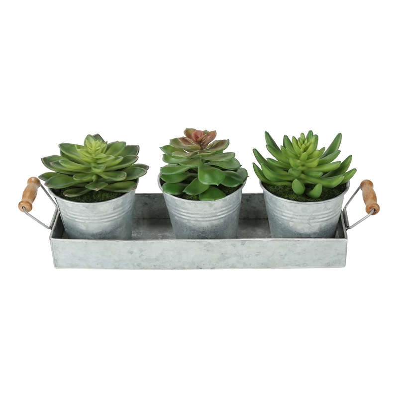 Pemberly Row Set of 3 Artificial Succulents in Silver Metal Pots with Tray