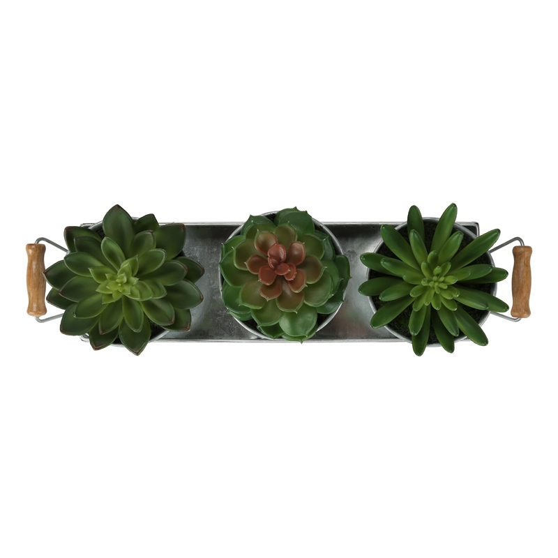 Pemberly Row Set of 3 Artificial Succulents in Silver Metal Pots with Tray