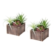 Pemberly Row Set of 2 Artificial Succulents 10
