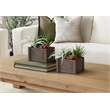 Pemberly Row Set of 2 Artificial Succulents 10