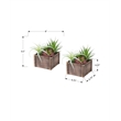 Pemberly Row Set of 2 Artificial Succulents 10