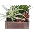 Pemberly Row Set of 2 Artificial Succulents 10