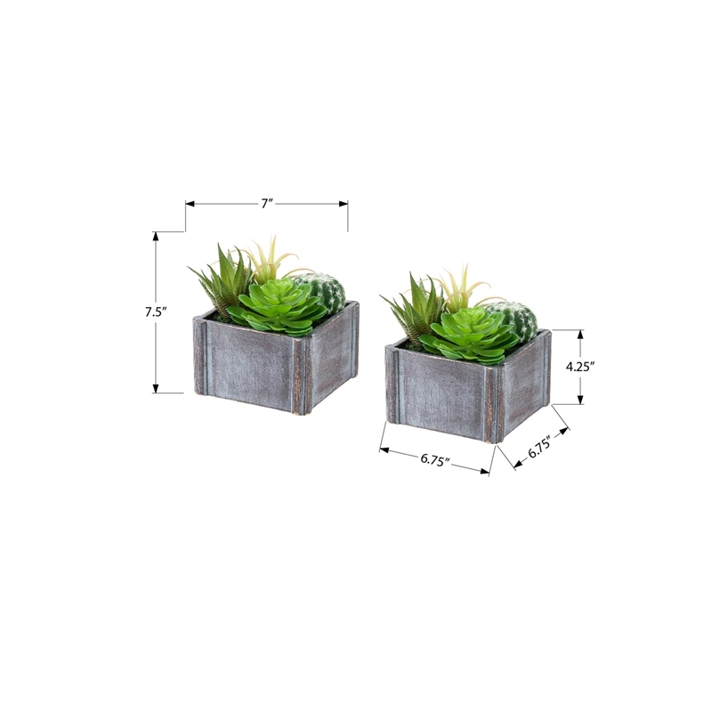 Pemberly Row Set of 2 Artificial Succulents 8