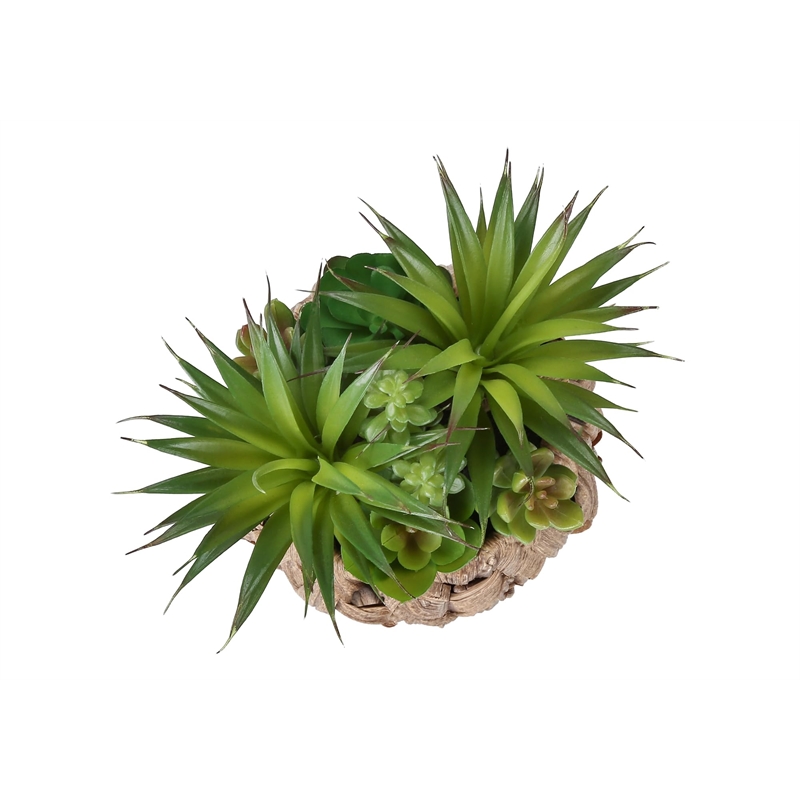 Pemberly Row Set of 2 Artificial Succulents 9